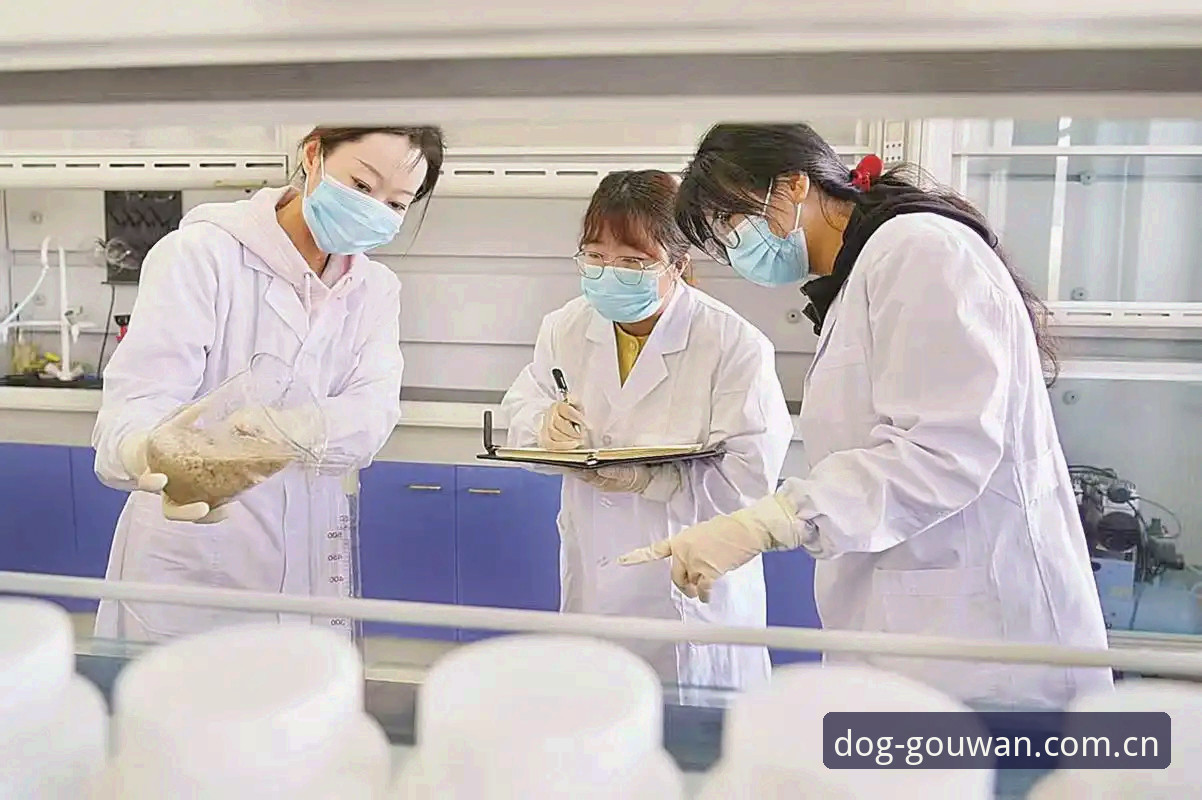 狗万manbetx合法吗对比 资深技术评测员揭秘:狗万manbetx合法吗对比多平台的使用心得与实战分析