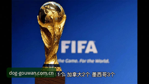2026世界杯观赛受阻？教你用万博manbetx官网追踪赛事与签证动态全攻略